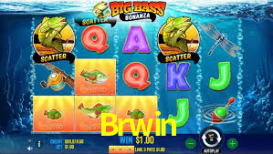 Brwin